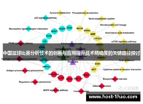 中国篮球比赛分析技术的创新与应用提升战术精确度的关键路径探讨