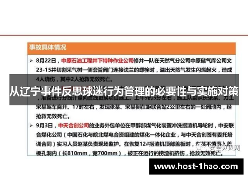 从辽宁事件反思球迷行为管理的必要性与实施对策