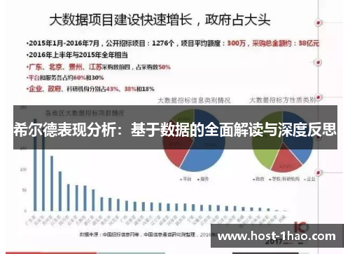希尔德表现分析：基于数据的全面解读与深度反思