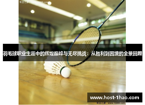 羽毛球职业生涯中的辉煌巅峰与无尽挑战：从胜利到困境的全景回顾