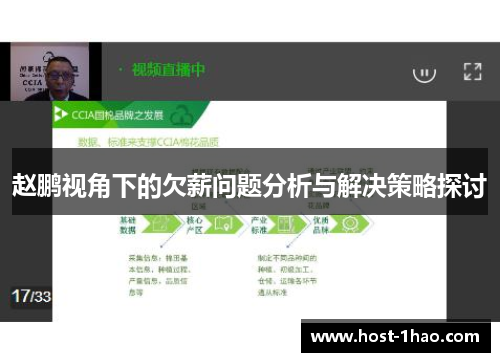 赵鹏视角下的欠薪问题分析与解决策略探讨