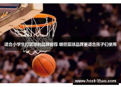 适合小学生打篮球的品牌推荐 哪些篮球品牌更适合孩子们使用