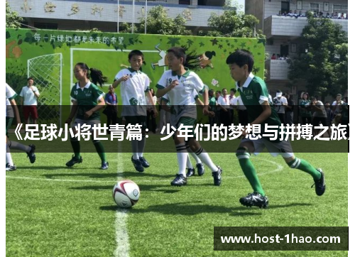 《足球小将世青篇：少年们的梦想与拼搏之旅》