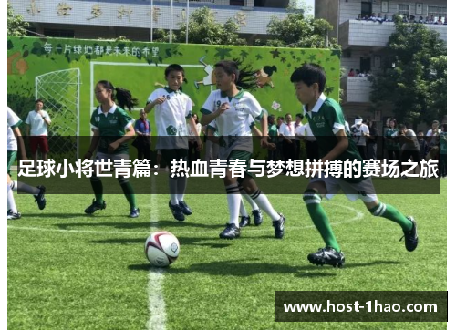 足球小将世青篇：热血青春与梦想拼搏的赛场之旅